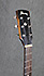 Ibanez AVC 6