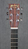 Martin LX1E