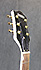Gretsch G5655 TG