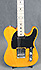 Squier Affinity Telecaster Micros Hep Cat