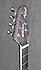 Musicman BFR Axis Super Sport