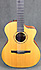 Taylor NS24Ce