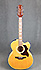 Takamine EG523-SC12