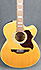 Takamine EG523-SC12