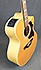 Takamine EG523-SC12