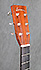 Eastman E20D