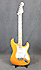 Fender Stratocaster Player