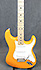 Fender Stratocaster Player