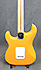 Fender Stratocaster Player