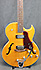 Epiphone Sorrento