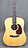 Eastman E1D