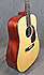 Eastman E1D
