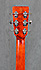 Eastman E1D