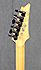 Ibanez PGM 301 Made in Japan de 2007