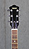 Yamaha SA503 TVL Troy Van Leeuwen