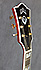 Guild D-55