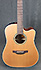 Takamine EN10C Made in Japan