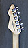 Peavey T60