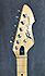 Peavey T60