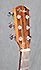 Fender GA-43 SCE