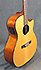 Fender GA-43 SCE