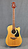 Takamine GD30ce