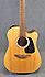 Takamine GD30ce