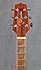 Takamine GD30ce