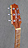 Takamine GD30ce