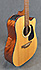 Takamine GD30ce