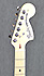 Fender Stratocaster American Performer