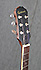 Epiphone Biscuit
