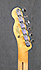 Fender Telecaster Roadworn