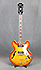 Epiphone Riviera E360 TD