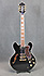 Epiphone Sheraton II