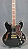 Epiphone Sheraton II