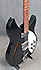 Rickenbacker 330