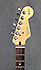 Fender Acoustasonic Stratocaster Deluxe