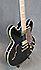 Epiphone Sheraton II