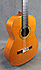 Giannini GWNC 4