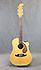 Fender Villager 12