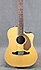 Fender Villager 12