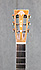 Washburn R319