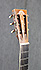 Washburn R319