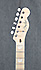 Fender Telecaster Parallel Universe