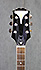 Epiphone Wildkat