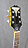 Epiphone Wildkat