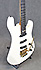 Signature Guitar Pegasus