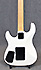 Signature Guitar Pegasus