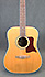 Tanglewood Sundance TW15NS